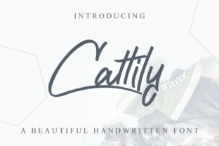 Cattily: A Casual Script Font for Modern Web Design