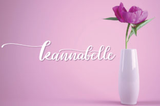 Kannabelle Font: A Playful Script for Modern Web Design