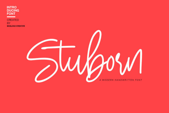 Stuborn: A Handcrafted Script Font for Modern Web Design